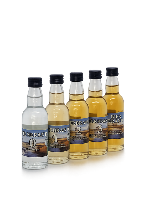 Lambertus Bierbrand Lagerset